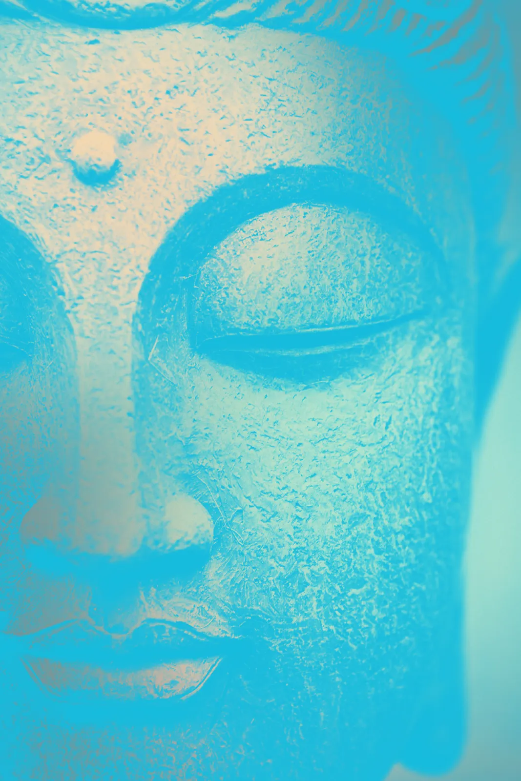 Close-up of a Buddha head sculpture with closed eyes, rendered in pale cyan and peach tones with visible surface texture.