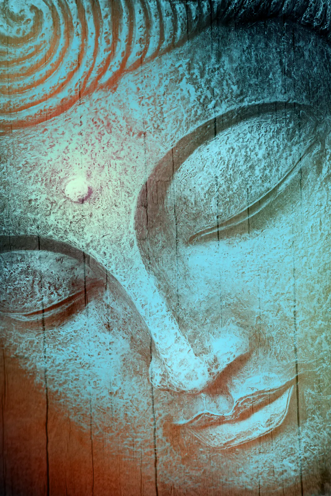 Buddha face with downcast closed eyes, in muted teal and rust tones on a wood-grain-textured background.